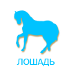 Гороскоп восточное описание знака лошадь